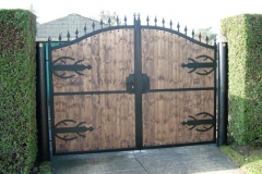 gate (2)